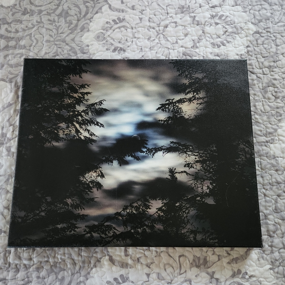 Night Sky Canvas